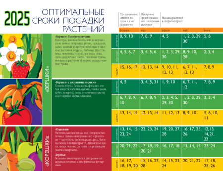 Благоприятные дни для посева семян и посадки растений в 2025 году